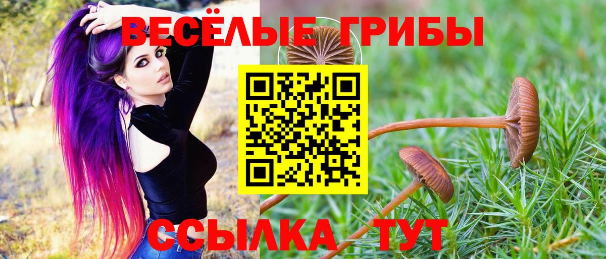 Псилоцибиновые грибы MAGIC MUSHROOMS  хочу наркоту  Майский  Вход с VPN  Псилоцибиновые грибы Psilocybe 